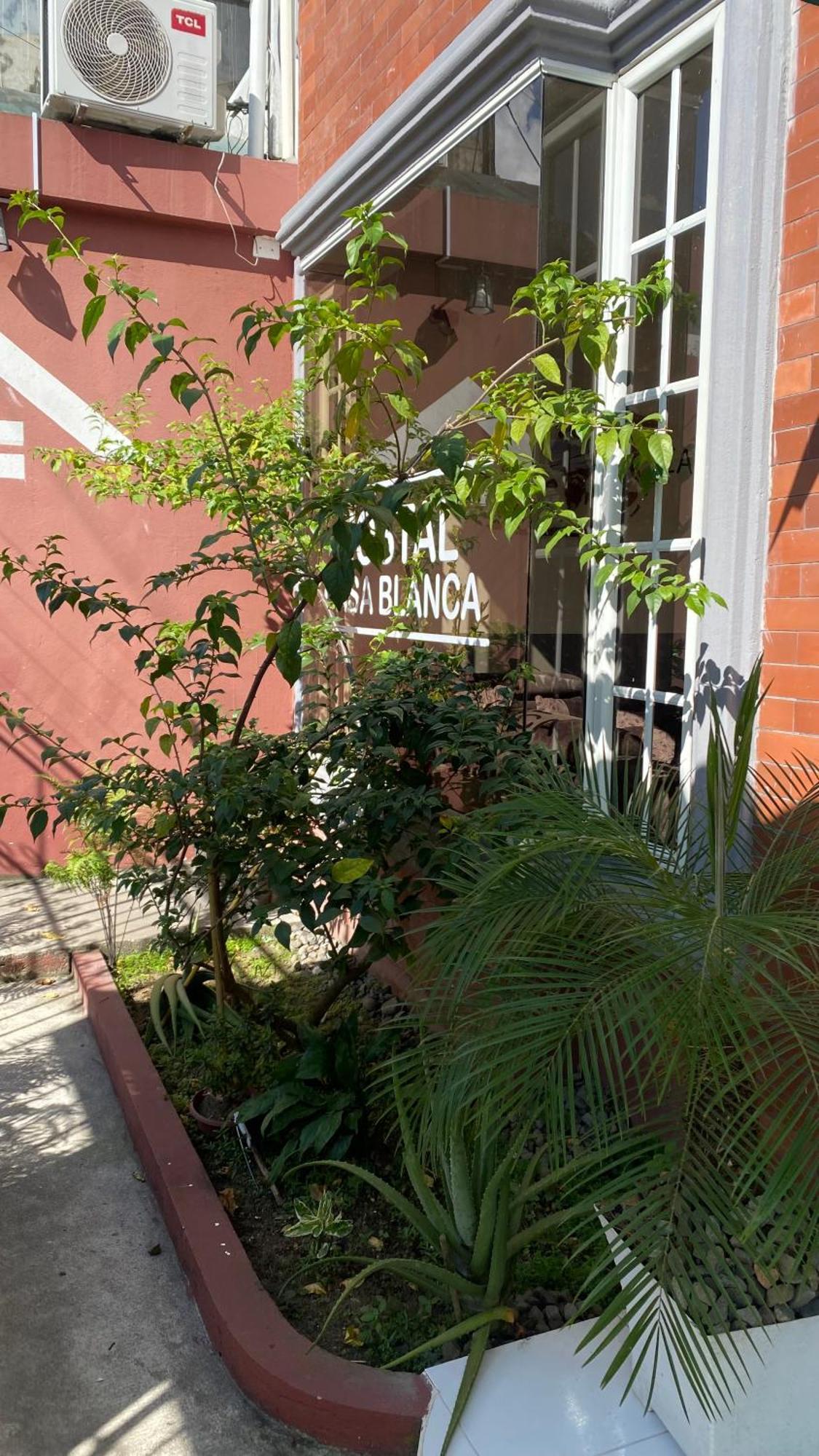 Hostal Casa Blanca Puerto Francisco de Orellana Buitenkant foto